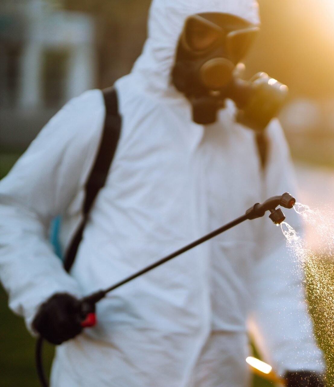 Imunizadora e Dedetizadora Quallity